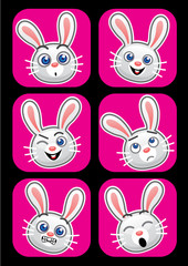 Rabbit face expressions