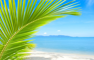 Beautiful tropical beach with palm tree and sand