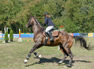 A girl riding a horse.