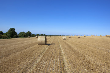 Fototapeta premium harvest time straw bales