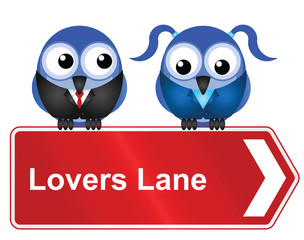 Comical lovers lane sign