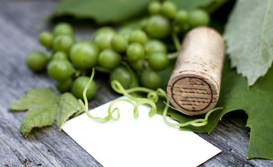 carton vide vin grappe de raisin blanc
