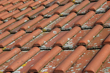 Dachziegel