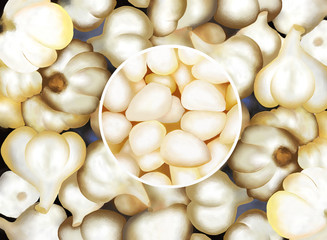 Garlic Cloves in Circle Frame on Garlic Bulbs Background