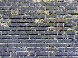 Brick wall