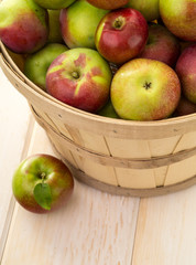 Basket full of apples