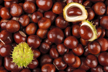 chestnuts - 44974062