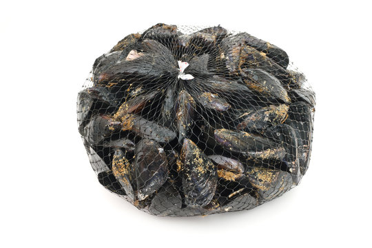 cozze - mussels