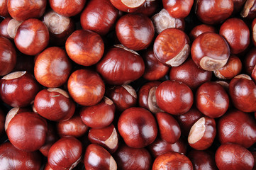 Brown chestnuts