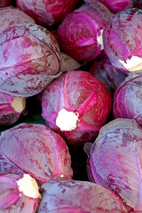 Fototapeta na wymiar purple cabbage