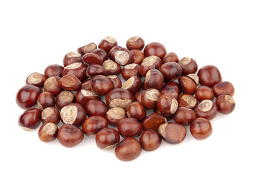 chestnuts