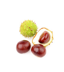 chestnuts