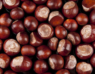 chestnuts