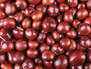 Chestnuts