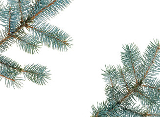 Christmas fir branches framework, isolated on white