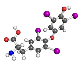 Thyroxine molecule
