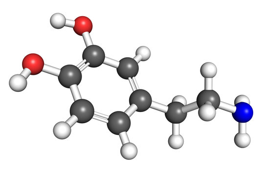 Dopamine Molecule