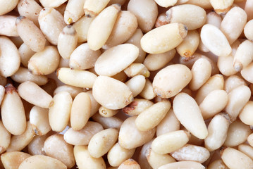 Pine Nuts