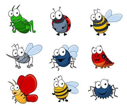 Cartoon insects set