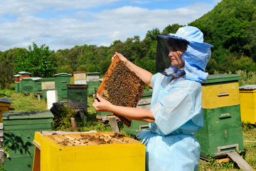 A beekeeper in veil at apiary among hives.