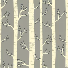 Peel and stick wall murals Birds in the wood Birch Trees Background