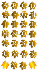 ABC Leaf
