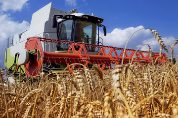 harvest