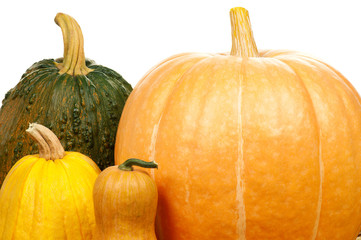 Ripe pumpkins