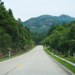 turns to the mountains