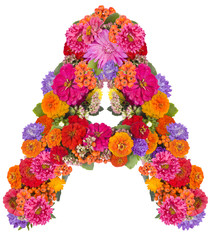 flower alphabet isolated on white