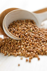 Buckwheat