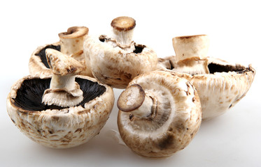 Mushrooms