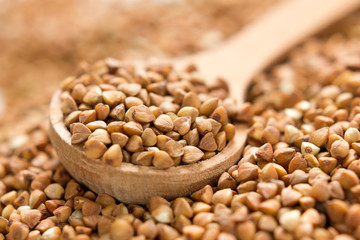 Buckwheat