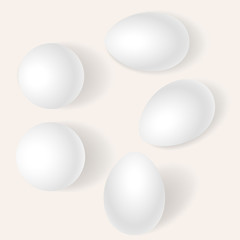 Eggs Vectors