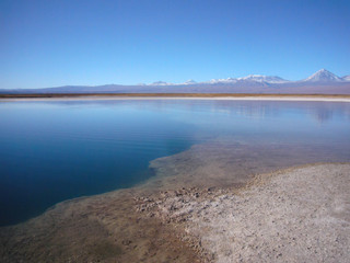 Laguna Sejar in der Atacamawüste