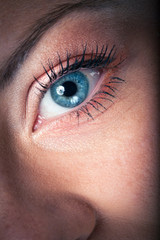 oeil