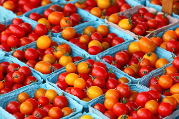 Obraz na płótnie Canvas Frische Tomaten