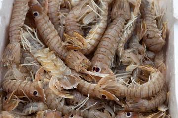 Fresh shrimp