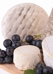 assortment of cheese