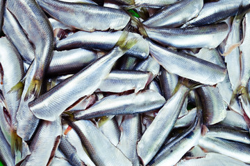 Obraz premium Fresh crude anchovies
