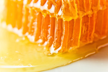 sweet honeycomb with honey