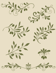 Decorative olive branch