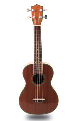 Fototapeta premium Ukulele guitar