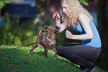 Menschen und Tiere - Junge Frau mit Mischlingwelpe