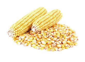 Corn