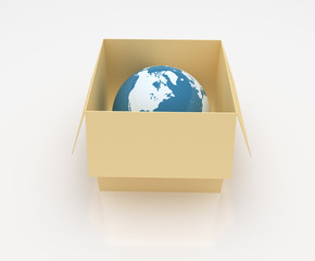 Earth in the Box