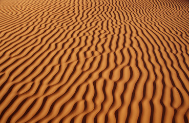 Sable