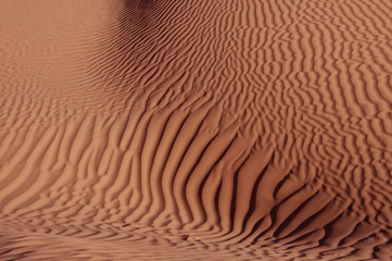 Sable