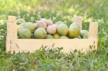 Walnuts in  a box