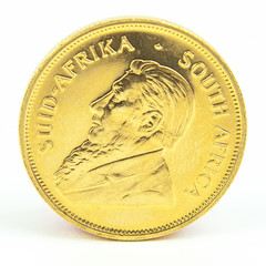 One Gold Coin